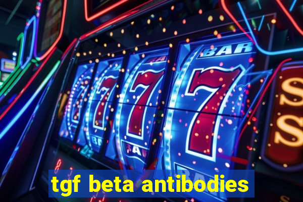 tgf beta antibodies