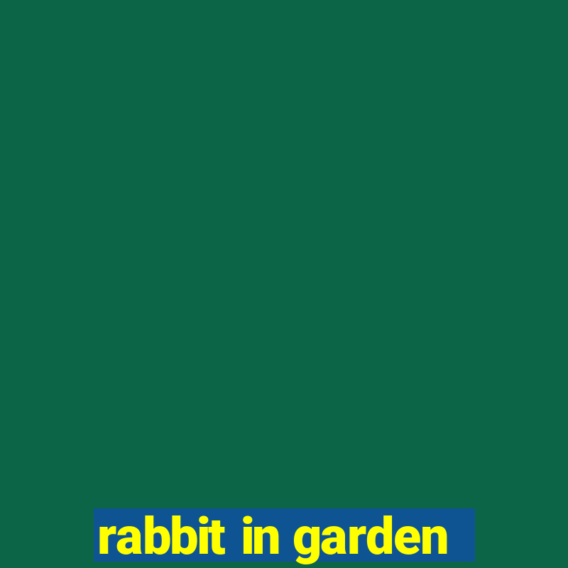 rabbit in garden