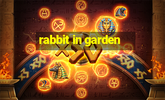 rabbit in garden