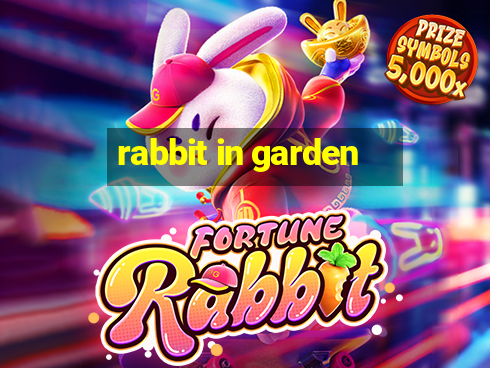 rabbit in garden