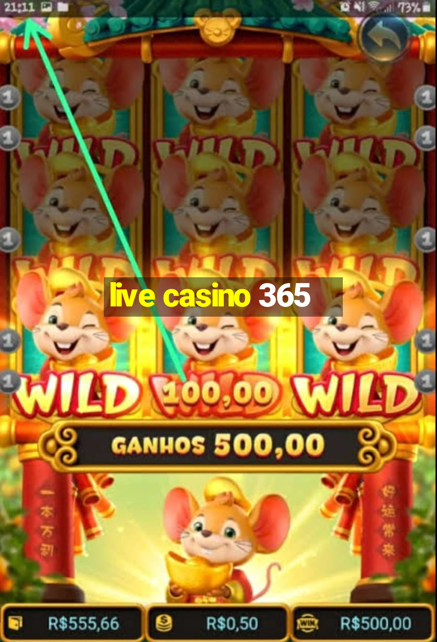 live casino 365