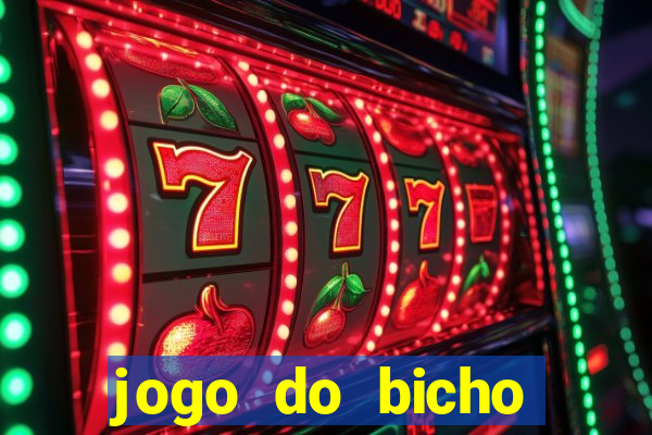 jogo do bicho crash bingo