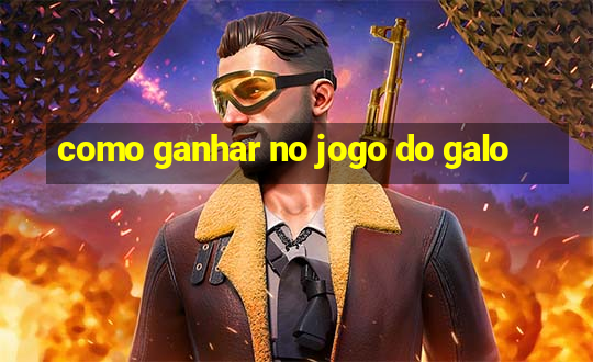 como ganhar no jogo do galo