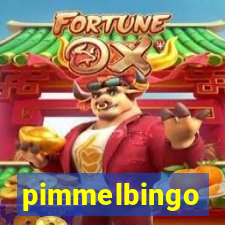 pimmelbingo