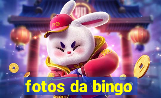 fotos da bingo