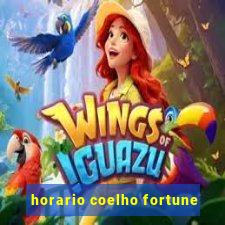 horario coelho fortune