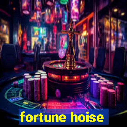 fortune hoise