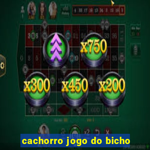 cachorro jogo do bicho