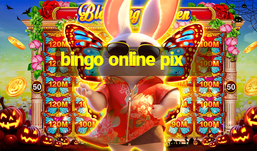 bingo online pix