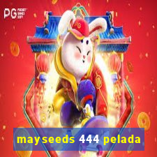 mayseeds 444 pelada