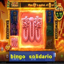 bingo solidario como organizar