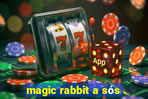 magic rabbit a sós