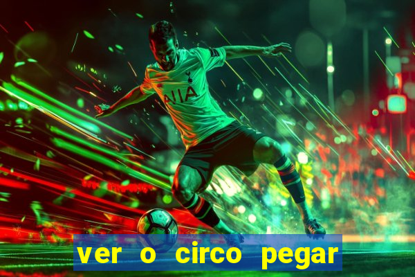 ver o circo pegar fogo significado