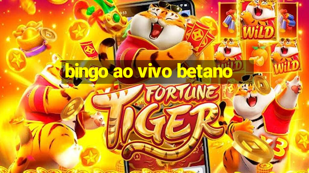 bingo ao vivo betano