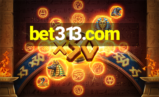 bet313.com