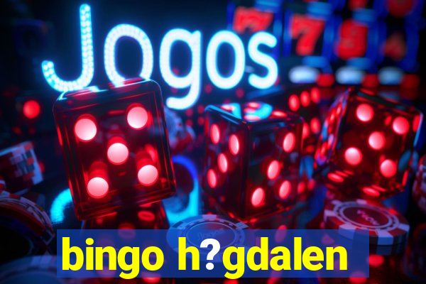 bingo h?gdalen