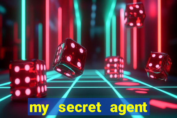 my secret agent husband legendado