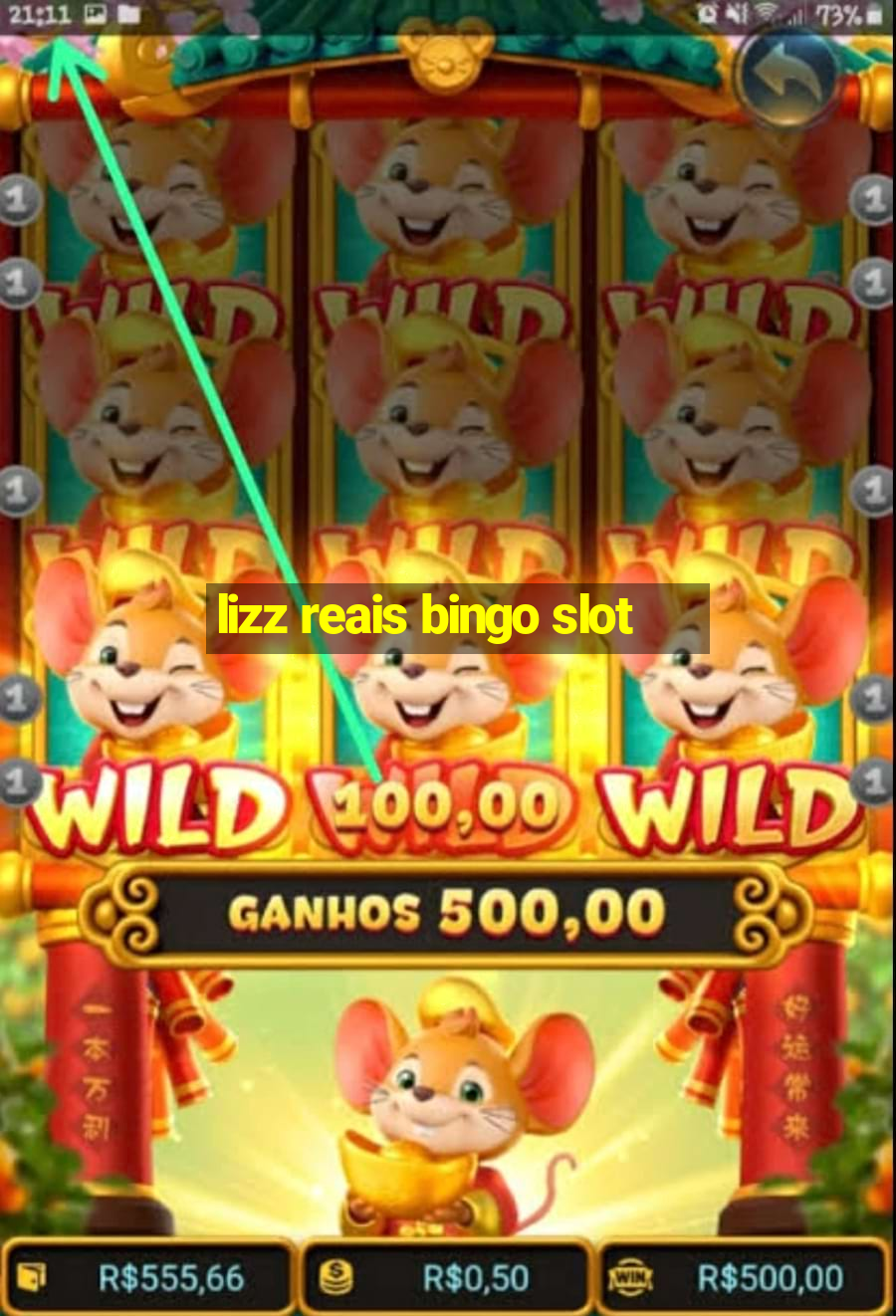 lizz reais bingo slot