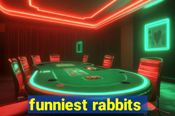 funniest rabbits