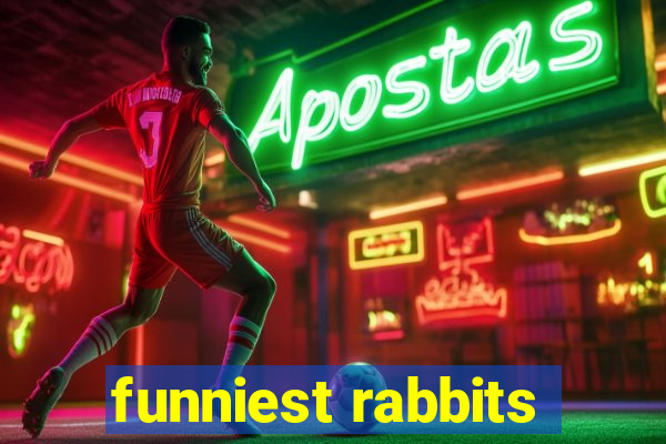 funniest rabbits