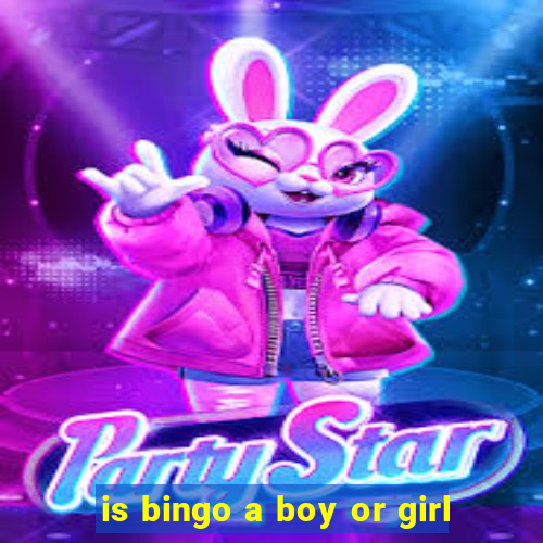 is bingo a boy or girl