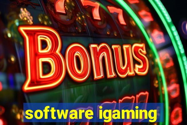 software igaming