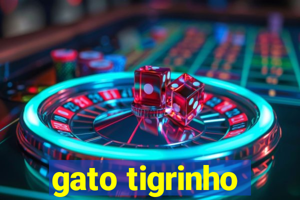 gato tigrinho