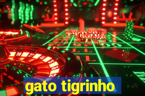 gato tigrinho