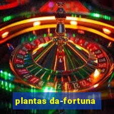 plantas da-fortuna