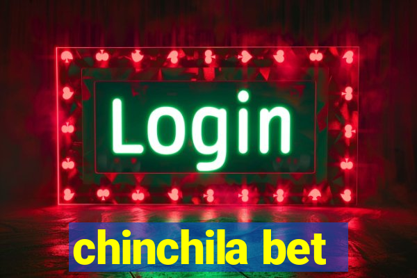 chinchila bet