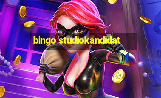 bingo studiokandidat