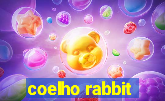 coelho rabbit