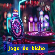 jogo do bicho ganhar dinheiro