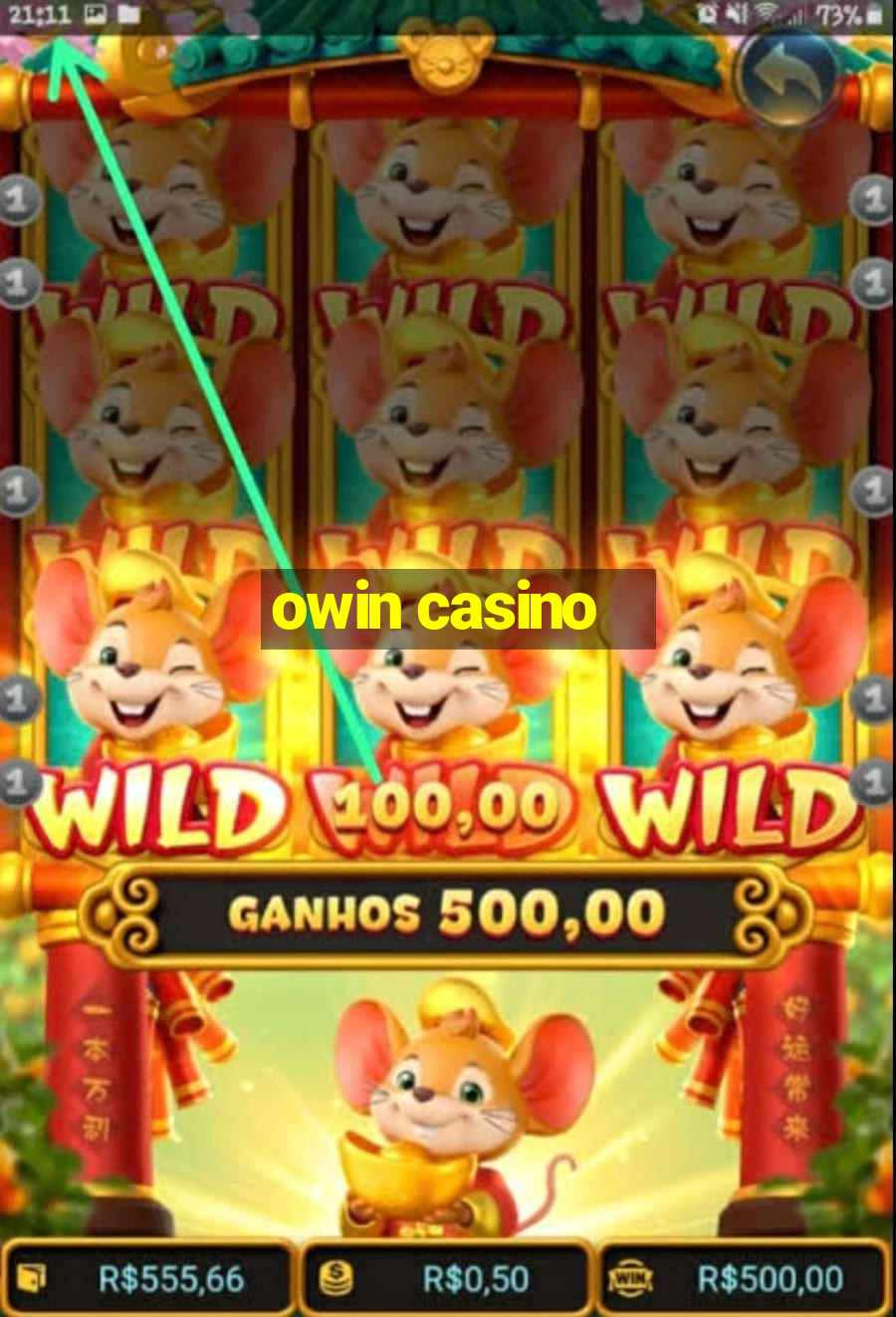 owin casino