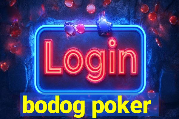 bodog poker