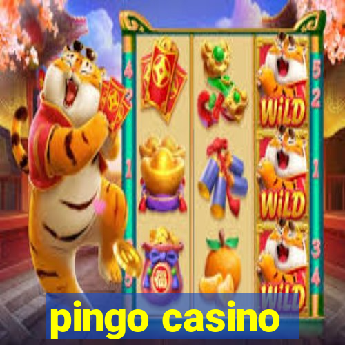 pingo casino