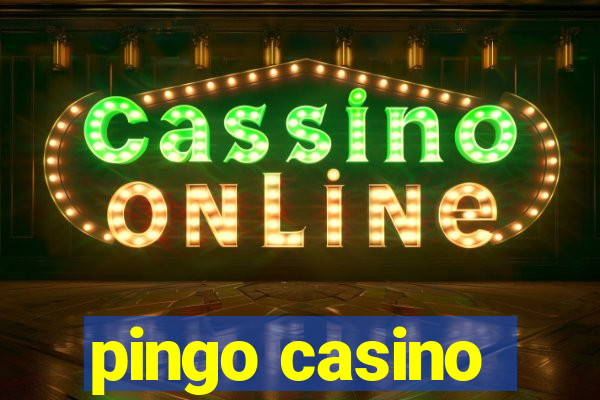 pingo casino