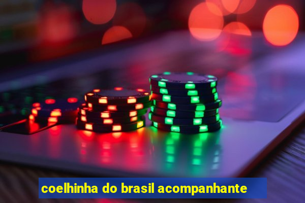 coelhinha do brasil acompanhante