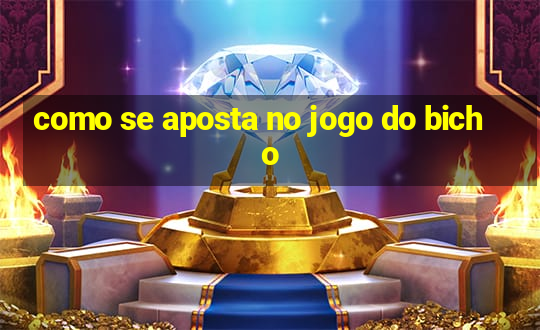 como se aposta no jogo do bicho