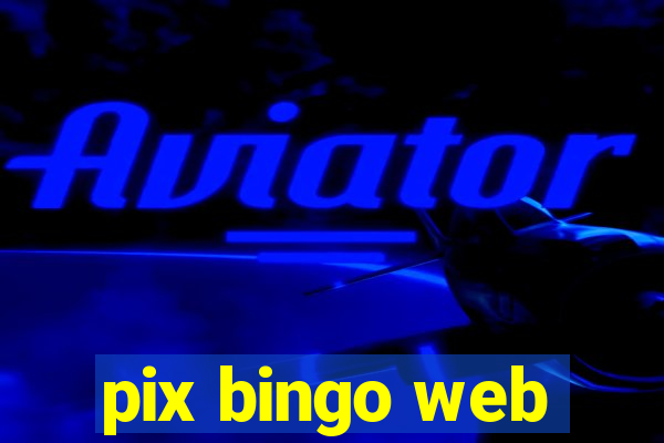 pix bingo web