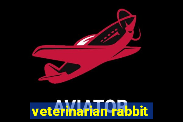 veterinarian rabbit