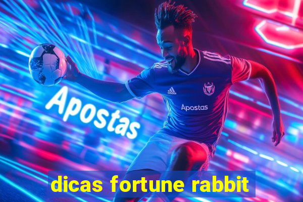 dicas fortune rabbit