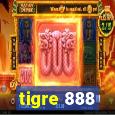 tigre 888