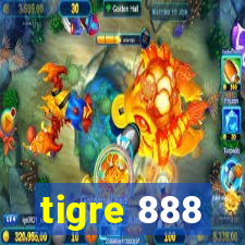 tigre 888