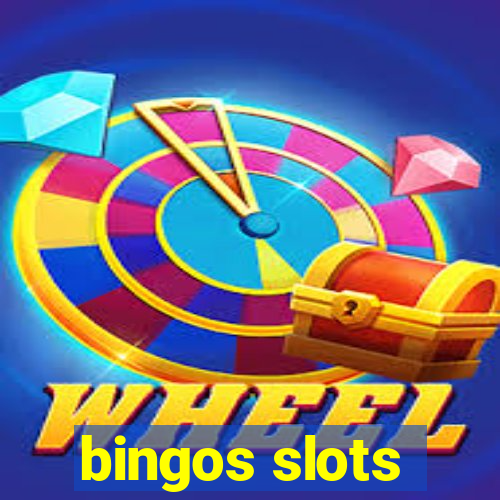 bingos slots