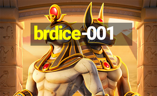 brdice-001