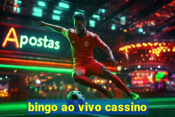 bingo ao vivo cassino