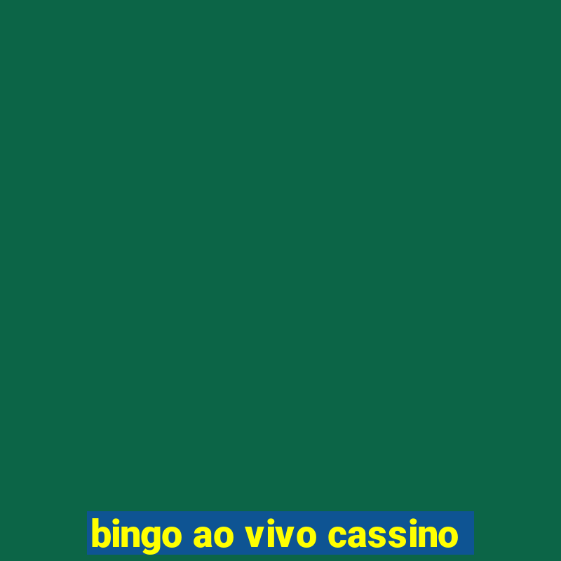 bingo ao vivo cassino