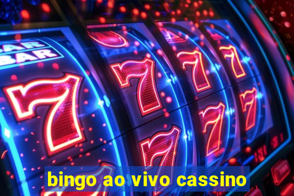 bingo ao vivo cassino