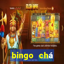 bingo chá revela??o pdf